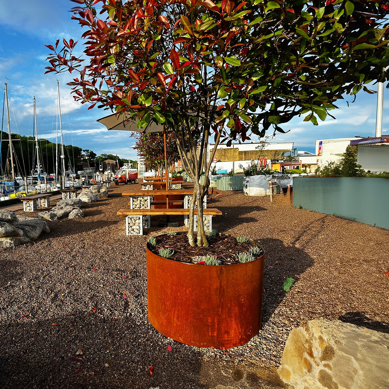 Bellamy Circular Rustic Steel Planters & Tree Rings - 15 Sizes to Choose From - Rusts Slowly Over Time