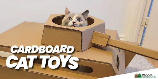 Cardboard Cat Toys: Simple and Cost-Effective Ways to Keep Your Feline Friend Happy and Healthy