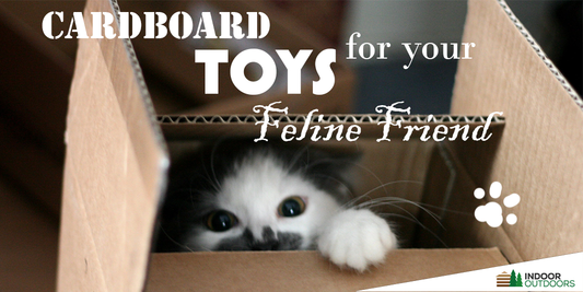 Purr-fect Playtime: Unleashing the Benefits of Cardboard Toys for Your Feline Friends