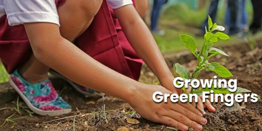Growing Green Fingers: Nurturing Plants with Children in the UK