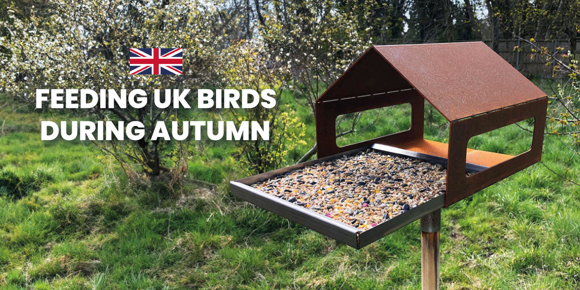 What to Feed Birds During Autumn in the UK A Guide to Nourishing our
