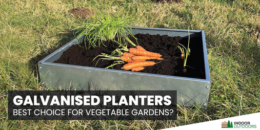 Why are Galvanised Steel Planters the Best Choice for Your Vegetable Garden?