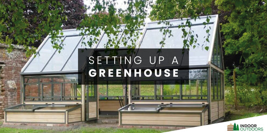 The Ultimate Guide to Setting Up Your Own Greenhouse: 5 Easy Steps