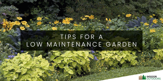 5 Simple Tips for a Gorgeous and Low-Maintenance Garden Design