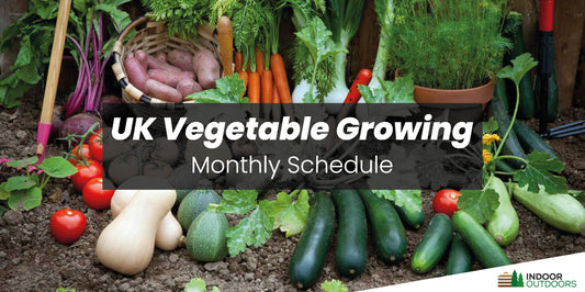 When is the Best Time To Plant Vegetables in the UK - Indoor Outdoor Blog Posts