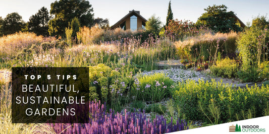 5 Expert Tips for a Beautiful and Sustainable Garden