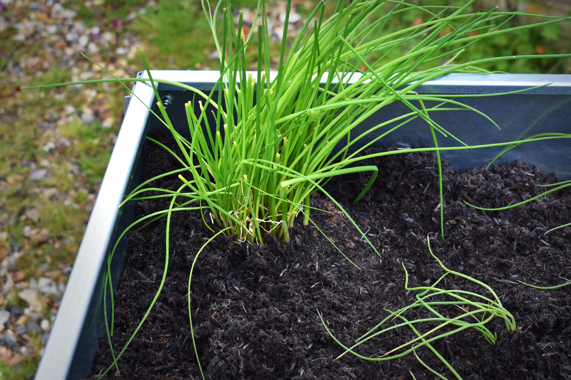 Bellamy Galvanised Steel Trough Standing Planter with Legs (2 Sizes Available) - Indoor Outdoors