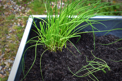 Bellamy Galvanised Steel Trough Standing Planter with Legs (2 Sizes Available) - Indoor Outdoors