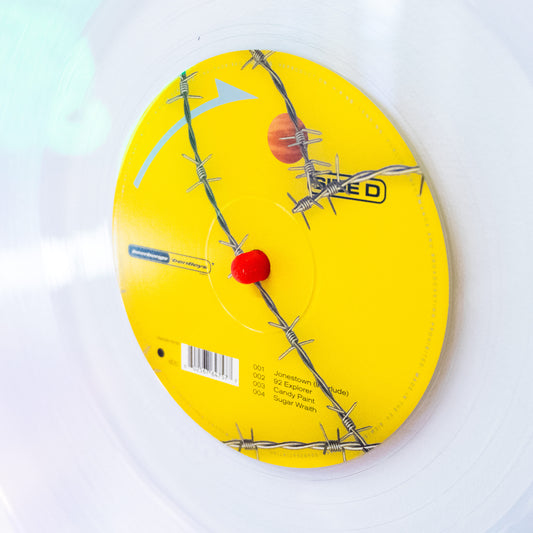 Okunaii™ 3D-Printed Wall Mount Vinyl Record Holder Clips