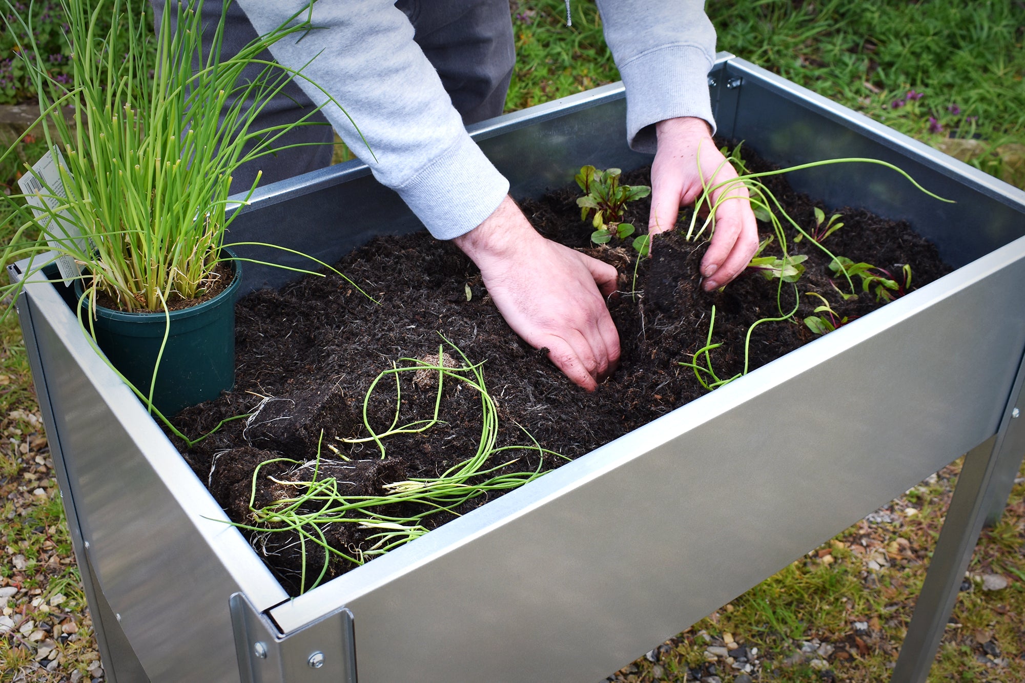 Bellamy Galvanised Steel Trough Standing Planter with Legs (2 Sizes Available) - Indoor Outdoors