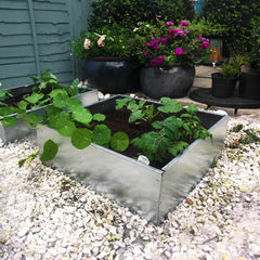 Bellamy Galvanised Steel Edging Raised Bed Kit for Vegetable Patches - Indoor Outdoors