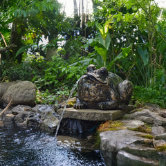 Fergus McArthur Bull Frog Bronze Effect Fountain Water Feature