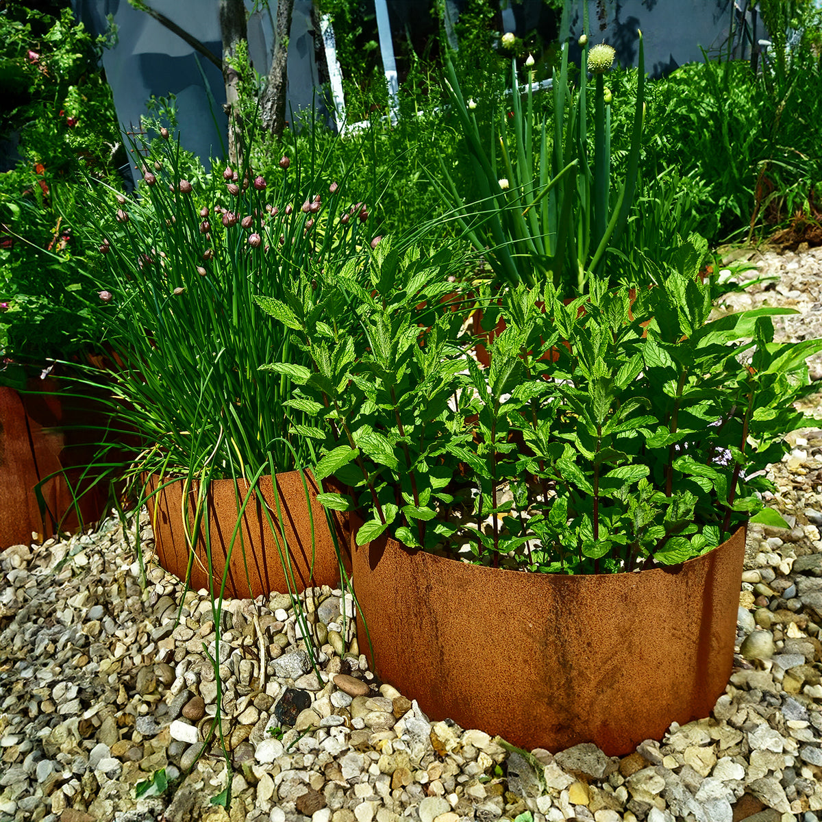 Bellamy Circular Rustic Steel Planters & Tree Rings - 15 Sizes to Choose From - Rusts Slowly Over Time