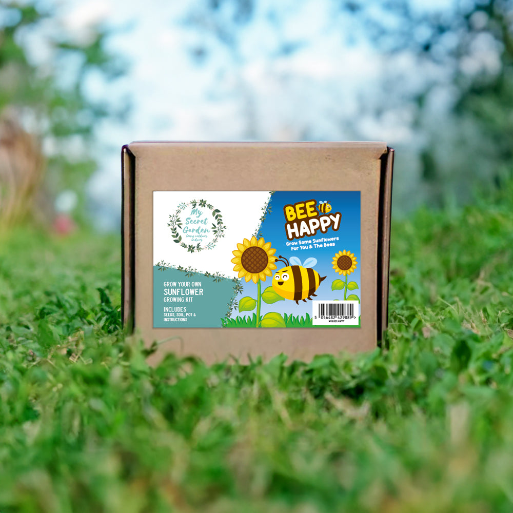 My Secret Garden "Bee Happy" Grow Your Own Sunflower Growing Kit