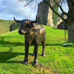 Fergus McArthur Highland Cow Bronze Effect Sculpture
