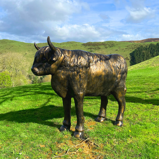 Fergus McArthur Highland Cow Bronze Effect Sculpture