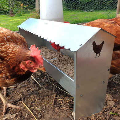 Medium Chicken & Poultry Galvanised Feeder With Roof - Indoor Outdoors