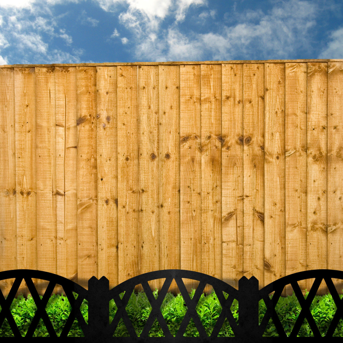 Decorative Edwardian-Style Garden Steel Picket Fence Panels - Indoor Outdoors