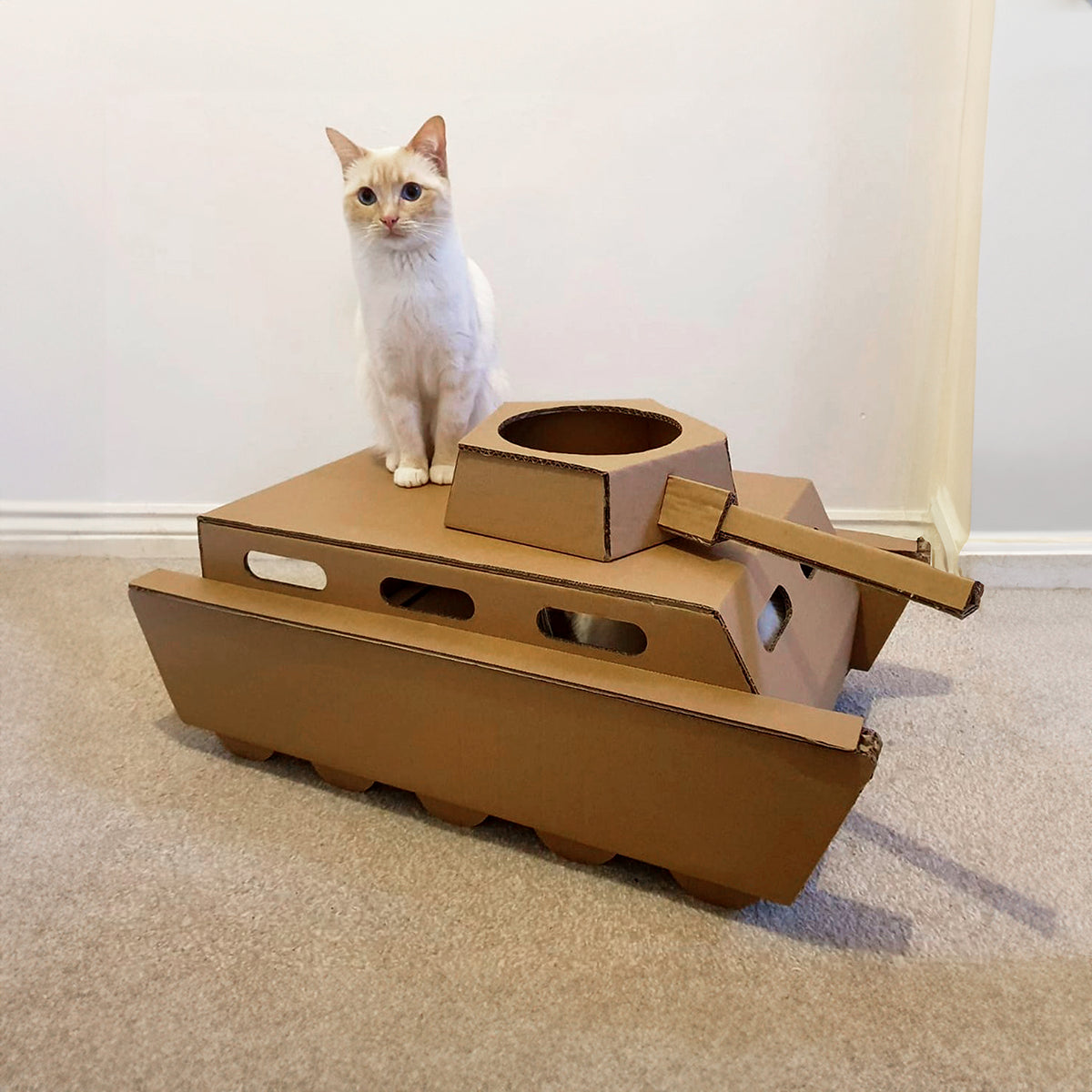 Jake's Farm Yard Cardboard Cat Tank Enrichment Toy - Indoor Outdoors