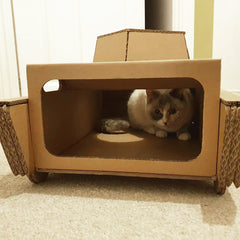 Jake's Farm Yard Cardboard Cat Tank Enrichment Toy - Indoor Outdoors