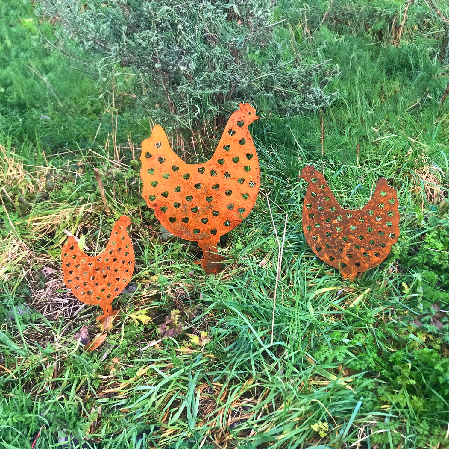 Bellamy Rustic Steel Heart Pattern Chicken Ornaments (Set of 3)