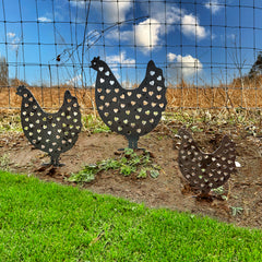 Bellamy Rustic Steel Heart Pattern Chicken Ornaments (Set of 3) - Indoor Outdoors