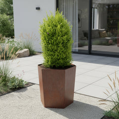 Bellamy Hexagon-Shaped Rustic Steel Planter