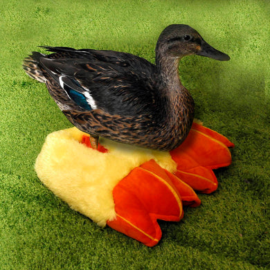 Jake's Farm Yard Fun Animal Slippers (6 Styles & 3 Sizes Available) - Indoor Outdoors