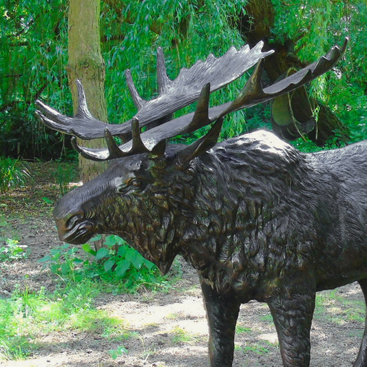 Fergus McArthur Bronze Effect Large Moose Garden Statue