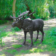 Fergus McArthur Bronze Effect Large Moose Garden Statue