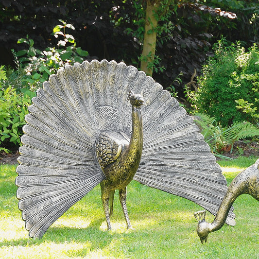 Fergus McArthur Peacock Bronze Effect Sculpture