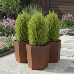 Bellamy Hexagon-Shaped Rustic Steel Planter