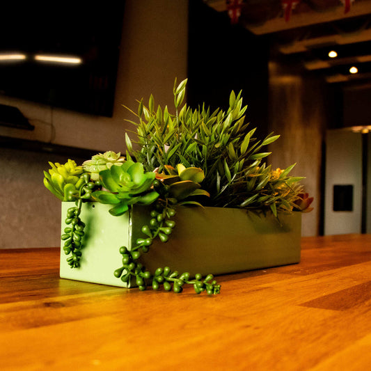 Okunaii™ Tabletop Decorative Rectangular Indoor Trough Planter (3 Sizes Available)