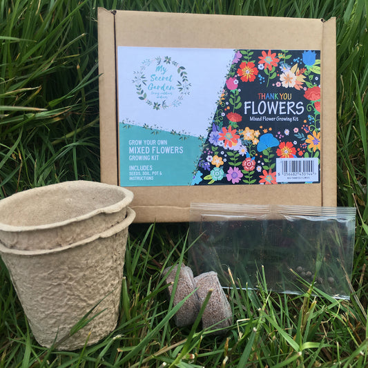 My Secret Garden "Thank You" Grow Your Own Mixed Flowers Growing Kit