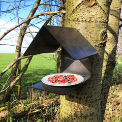 Small Rustic Steel Bird Feeder with dish of feed, mounted to a tree