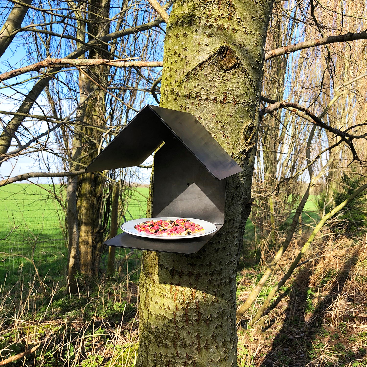 distance view of the bird feeder mounted to a tree