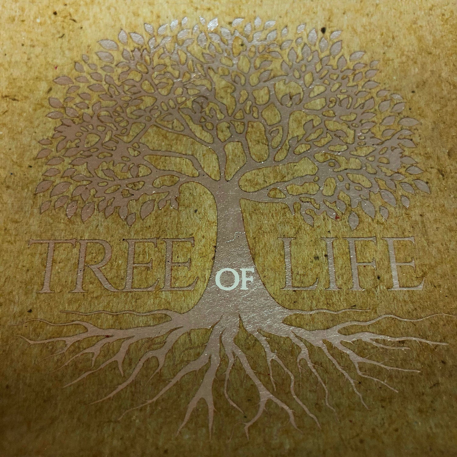 Tree of Life Glass Trinket Dish - Indoor Outdoors