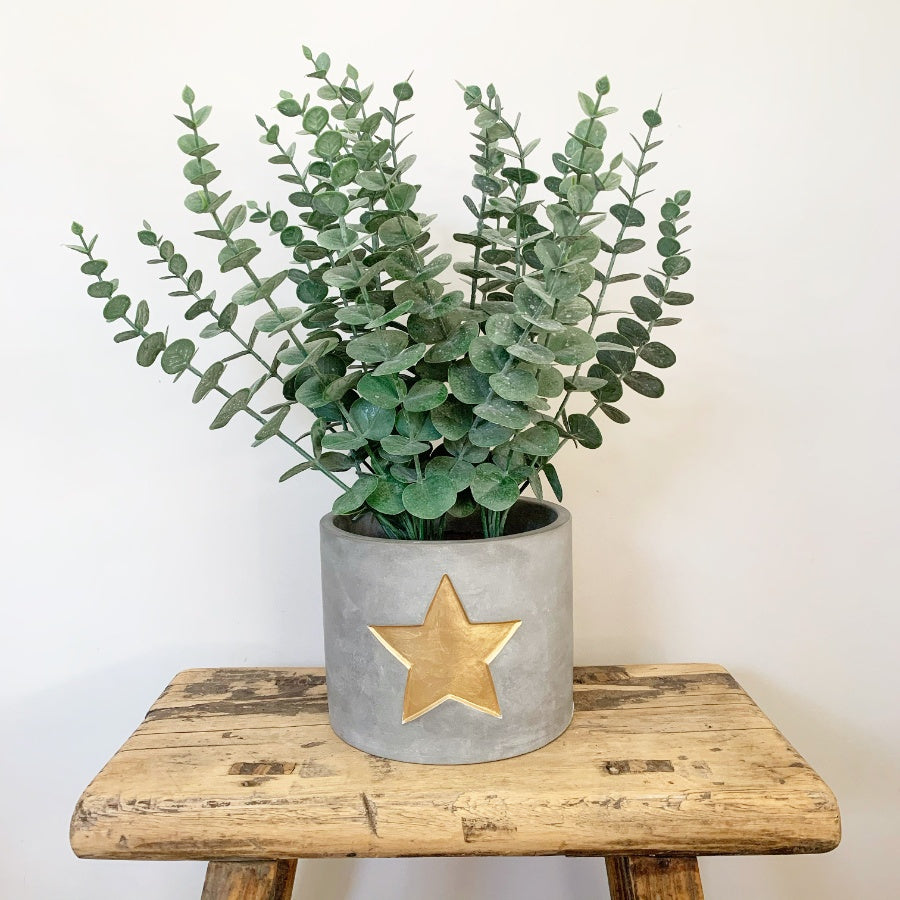 Indoor Plant Cement Planter With Star
