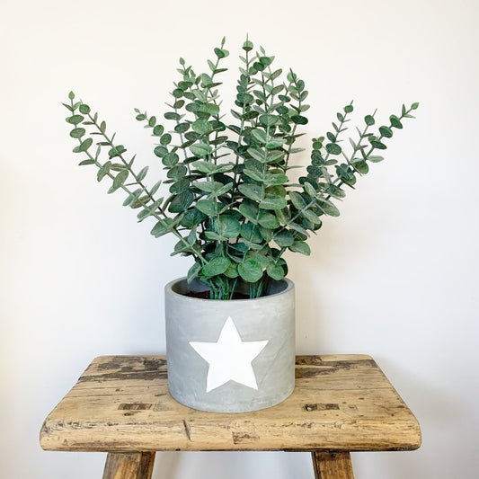Indoor Plant Cement Planter With Star