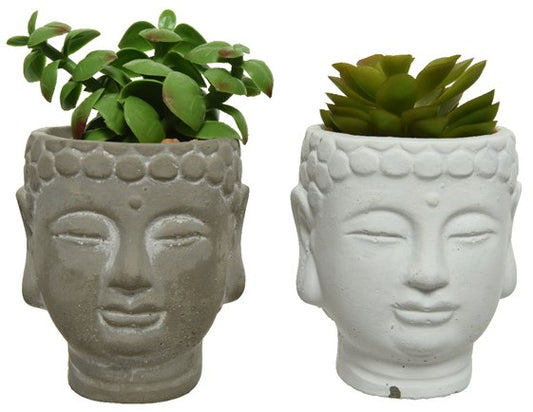 Meditation Artificial Succulent Plants Distressed Buddha Head - Indoor Outdoors