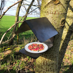 Close up view of the rustic metal bird feeder with a dish of multicoloured bird seed