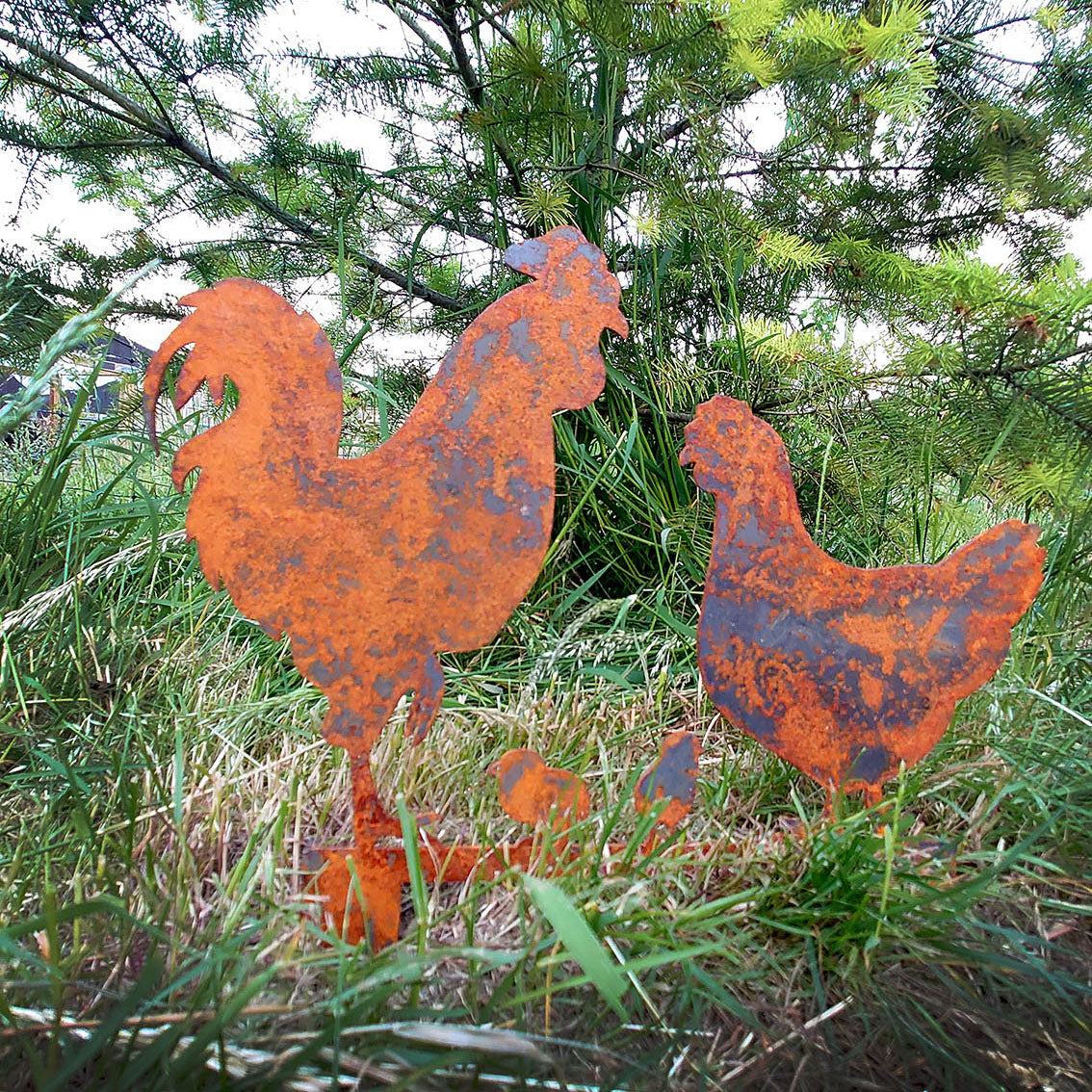 Bellamy Rustic Steel Garden Art Metal Chicken Ornaments | Indoor Outdoors
