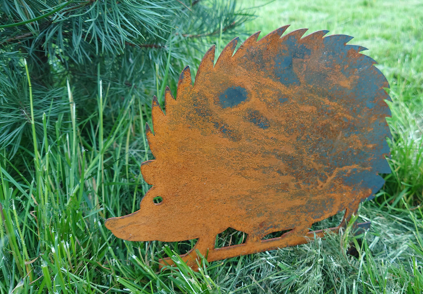 Bellamy Rustic Steel Garden Art Metal Hedgehog Ornament | Indoor Outdoors