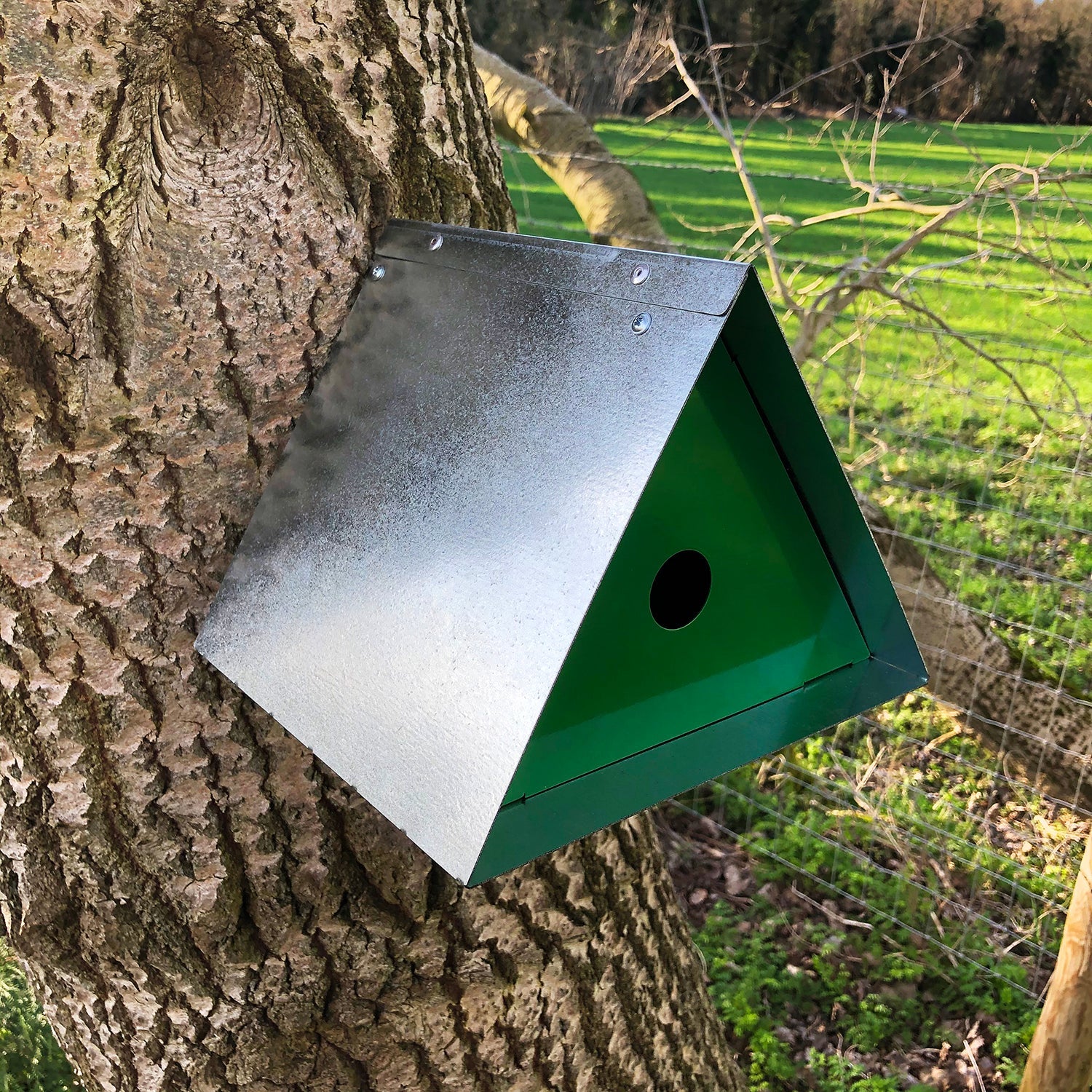 Bellamy Small Triangular Wildlife Bird Box | Indoor Outdoors