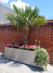 Bellamy Stainless Steel Planter Troughs from Indoor Outdoors