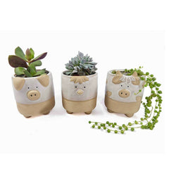 Farmyard Animal Ceramic Planters (3 Styles Available) - Indoor Outdoors