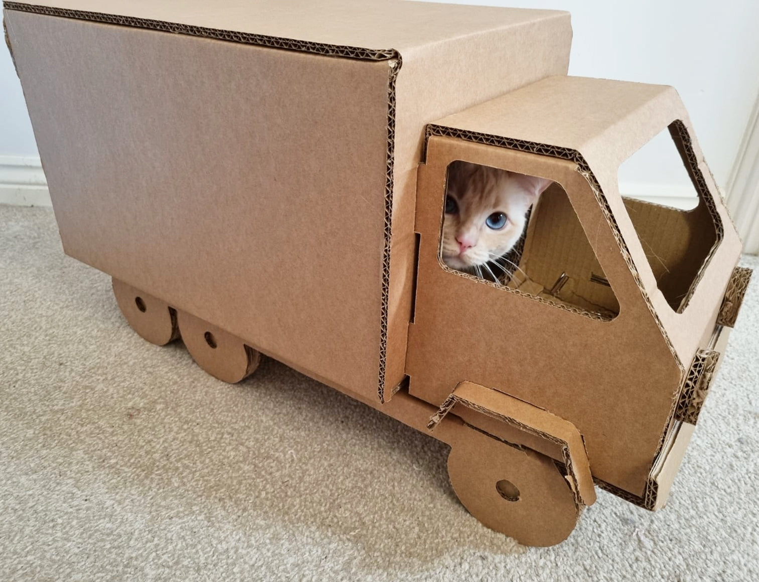 Jakes Farm Yard Cardboard Cat Truck Enrichment Toy - Indoor Outdoors