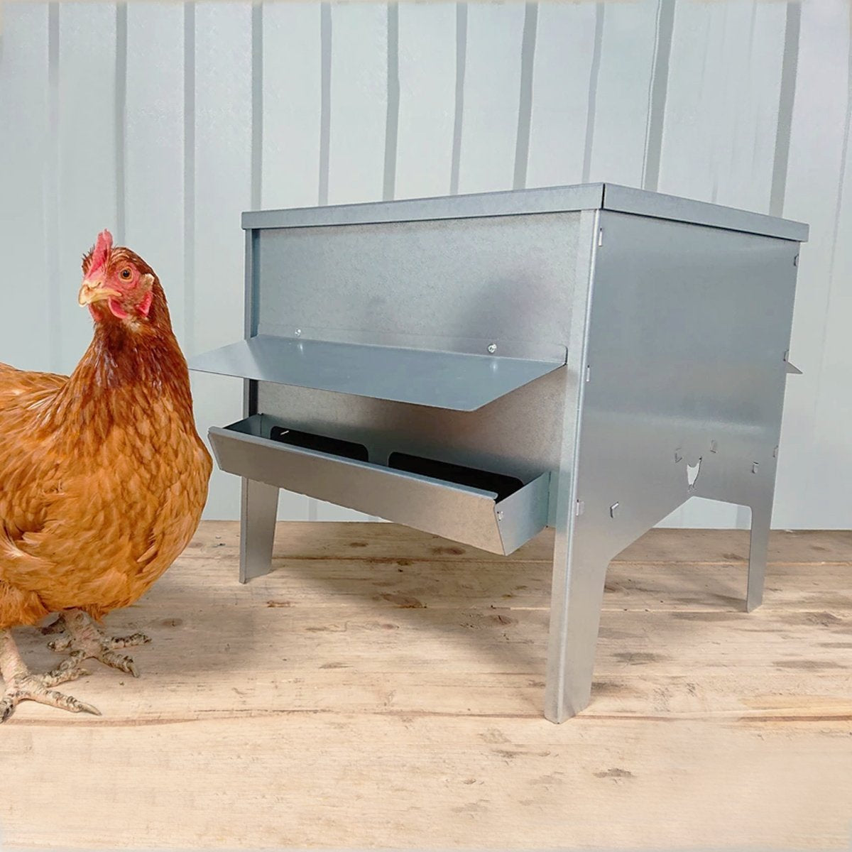 Large Chicken & Poultry Galvanised Feed Hopper with Roof | Indoor Outdoors