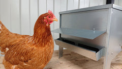 Large Chicken & Poultry Galvanised Feed Hopper With Roof - Indoor Outdoors