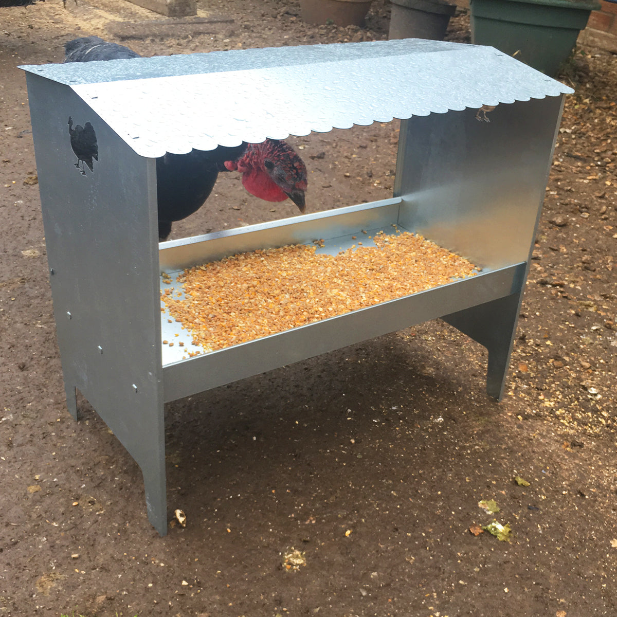 Large Turkey & Poultry Galvanised Feeder With Roof - Indoor Outdoors